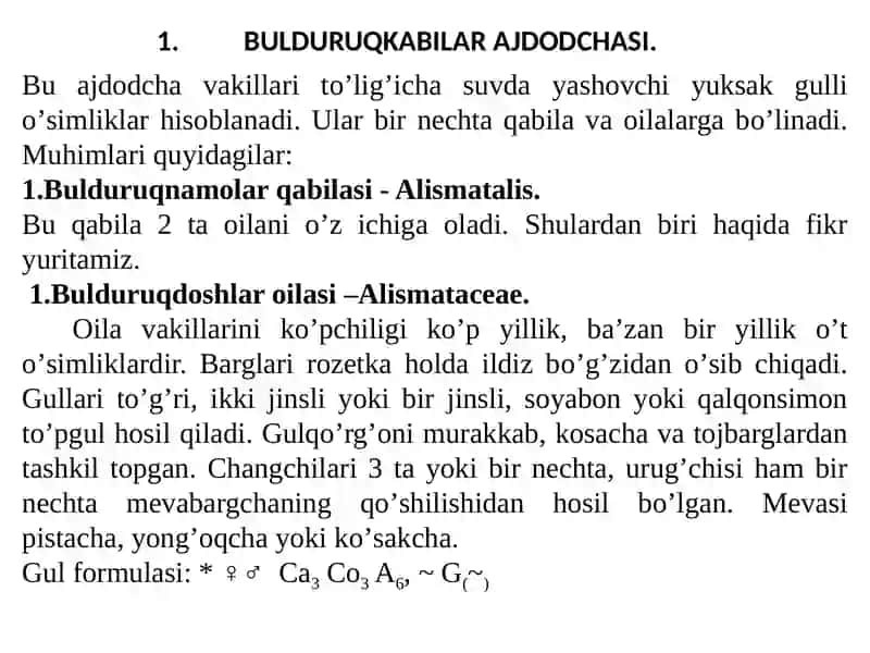 LOLASIMONLAR (BIR URUG'PALLALILAR) - LILIOPSIDA 3