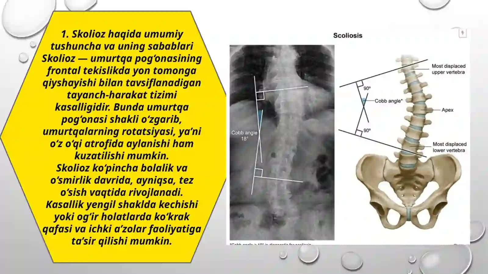 [.,,Skaliyoz ‘’] 3