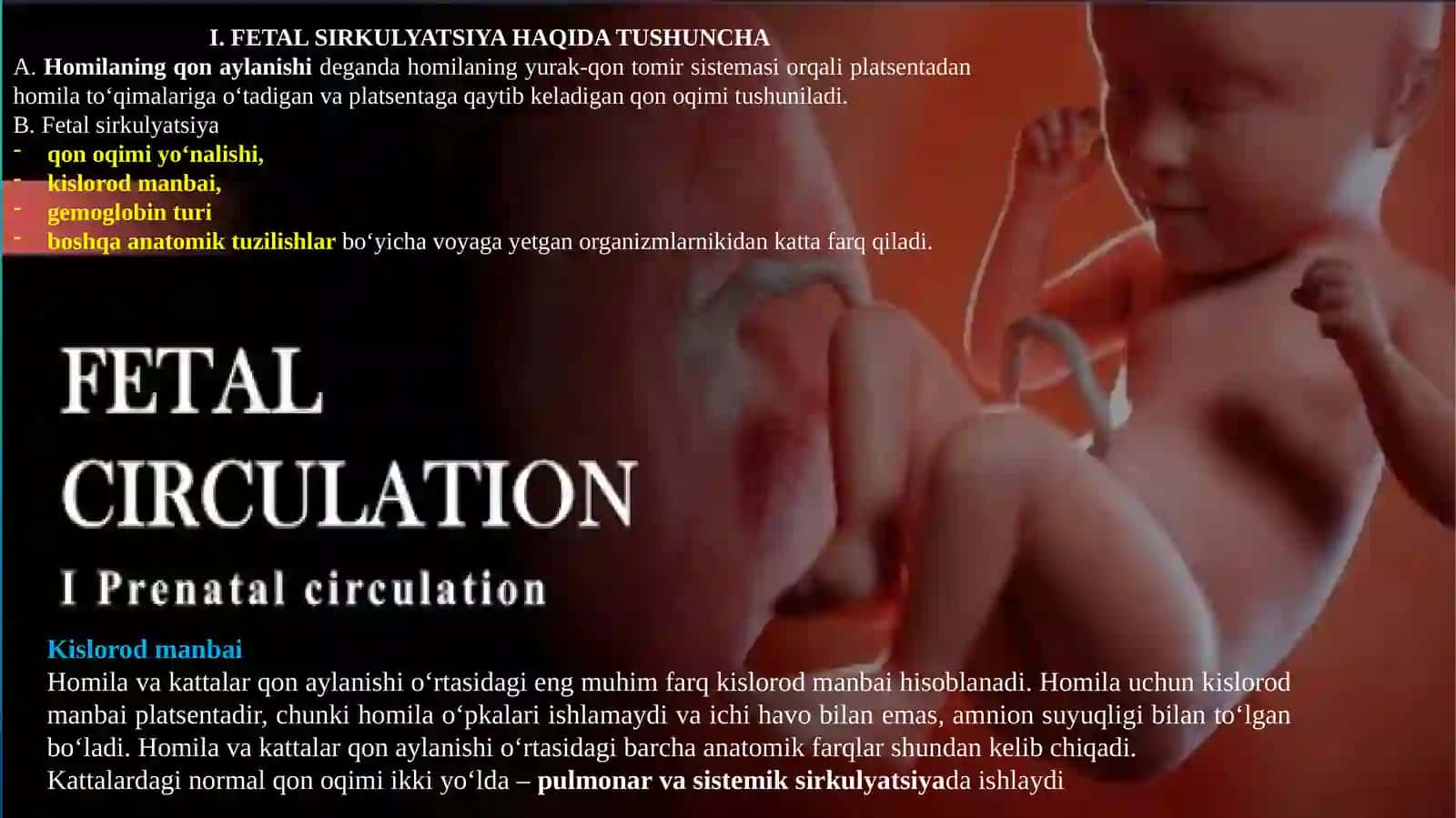 Fetal sirkulyatsiya 3
