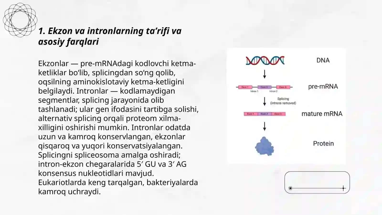 Ekzon va intronlar 3