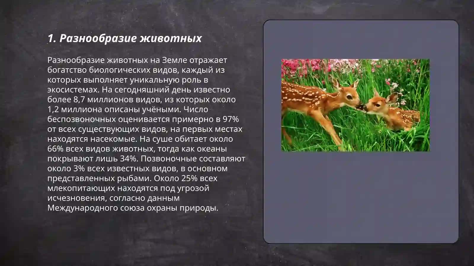 Разнообразие животных 3