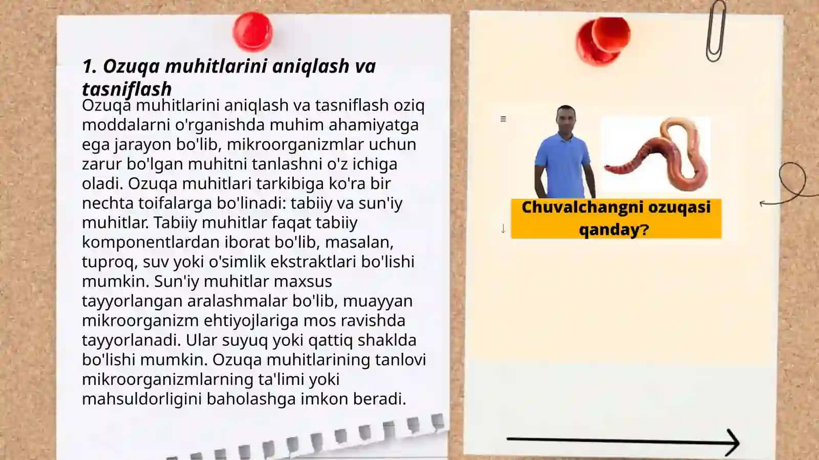 Ozuqa muhitlarini standartlash 3