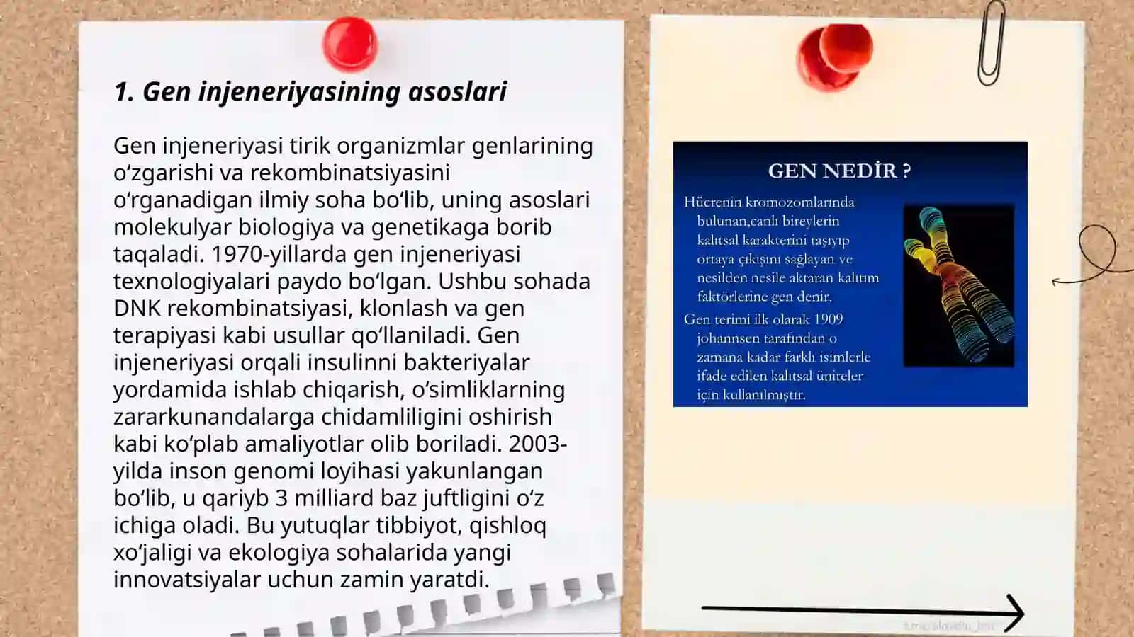 Gen injenerligi fermentlari 3