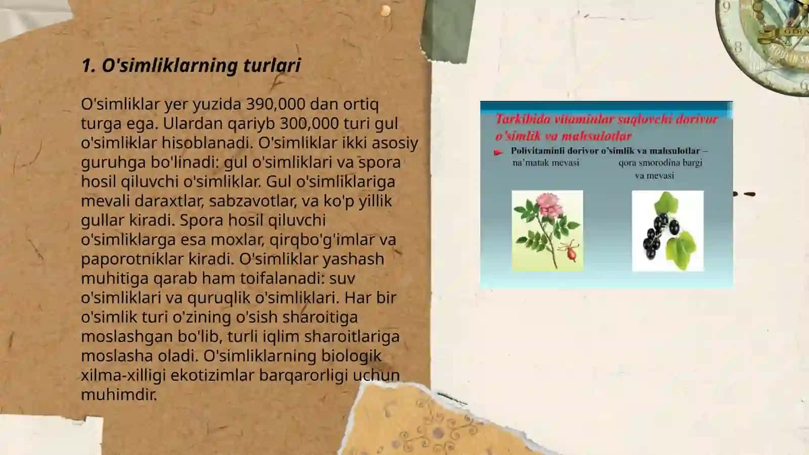 O'simliklar dunyosi 3