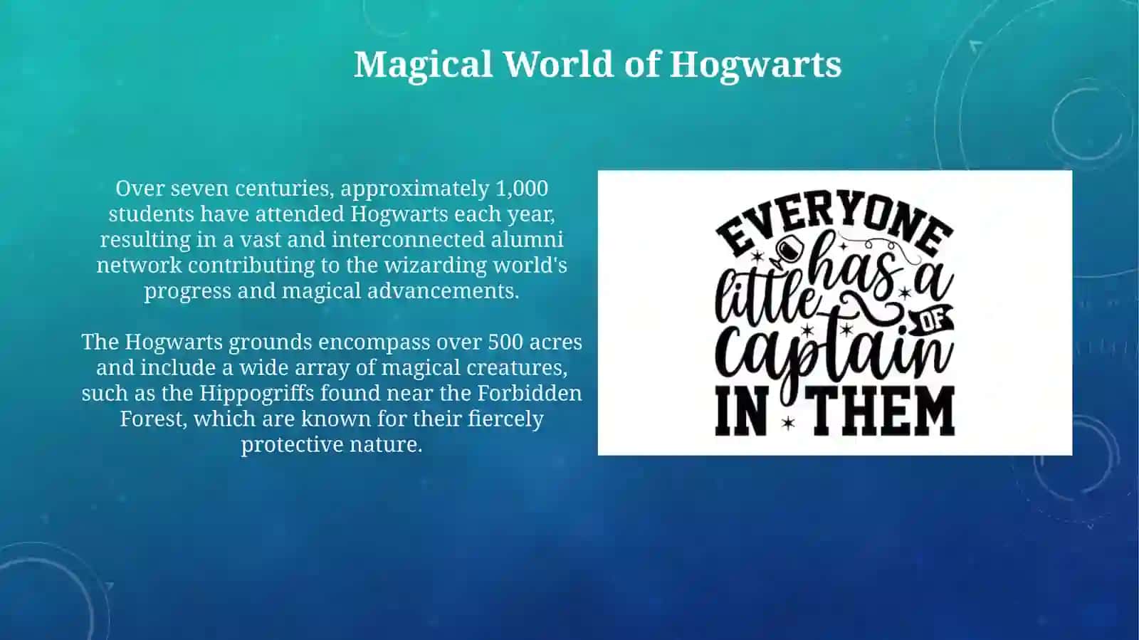 Magical World of Hogwarts 3