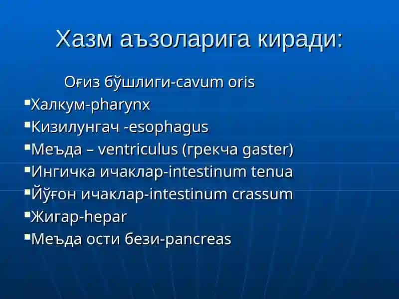 Одам анатомияси ва ОХТА кафедраси 3
