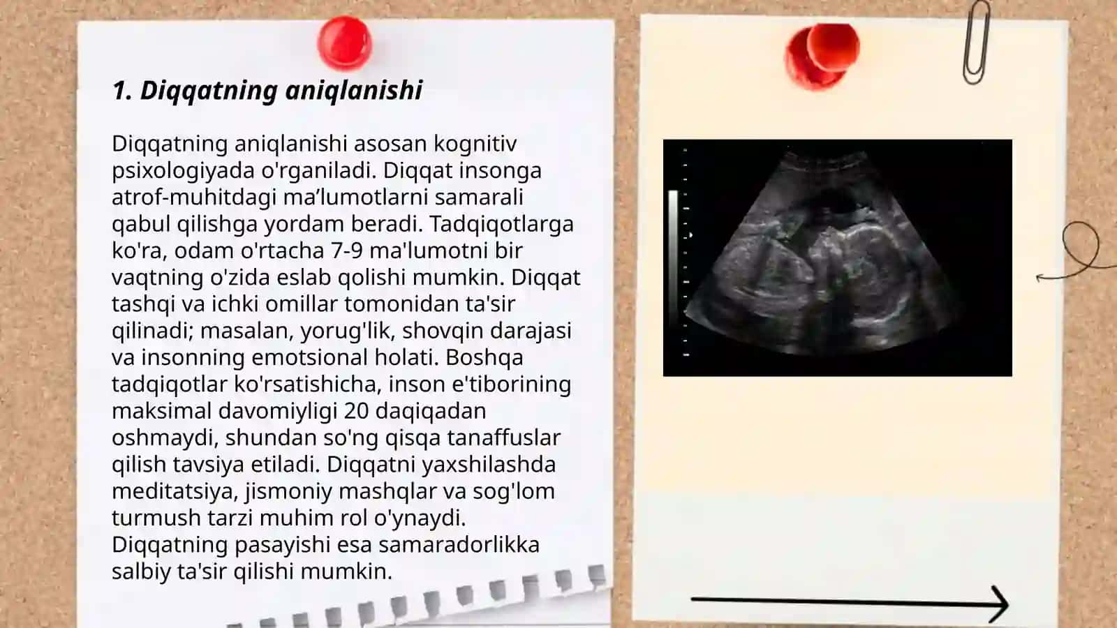 Umumiy psixologiya taqdimoti 3