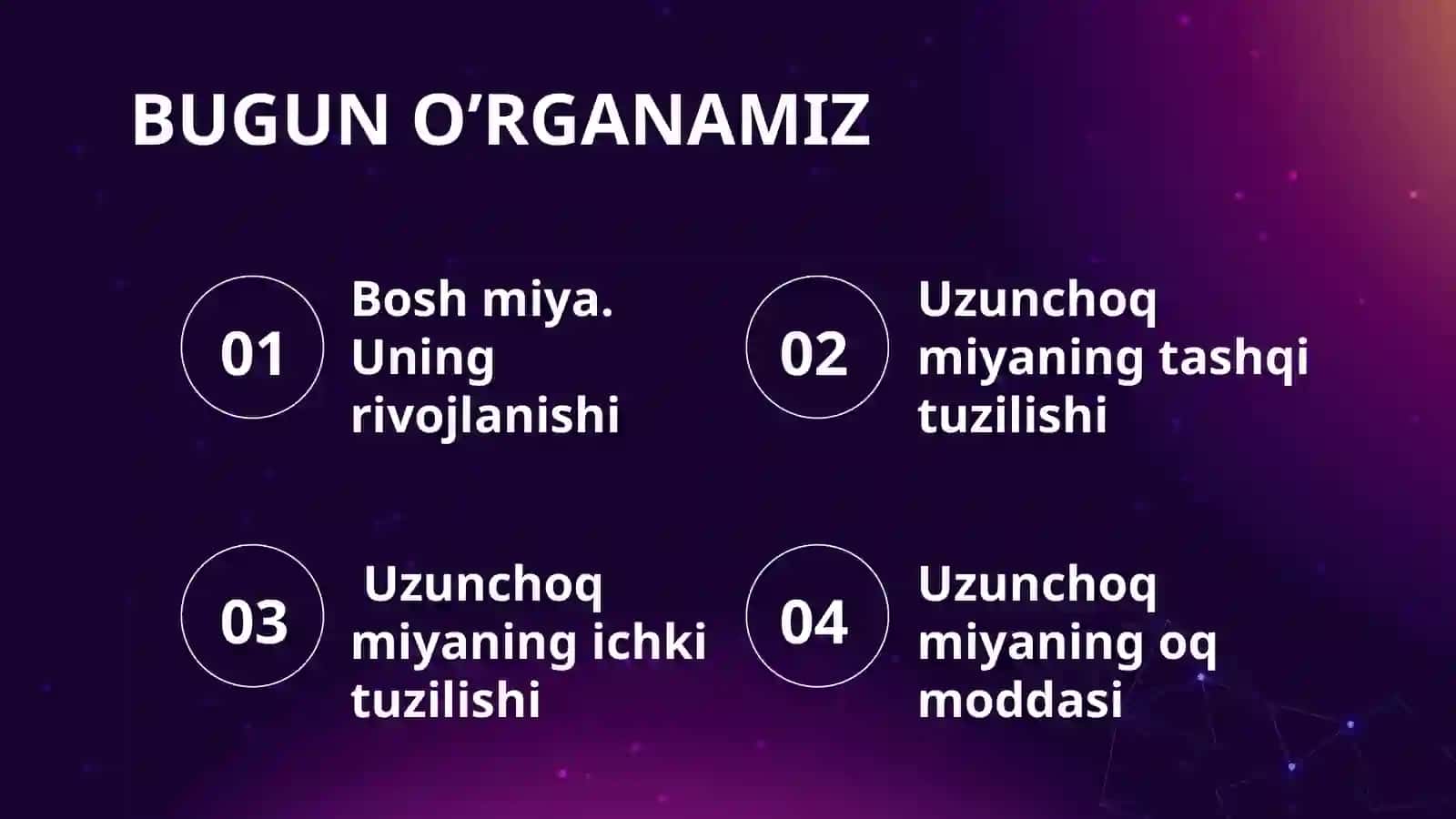 Uzunchoqmiya 3