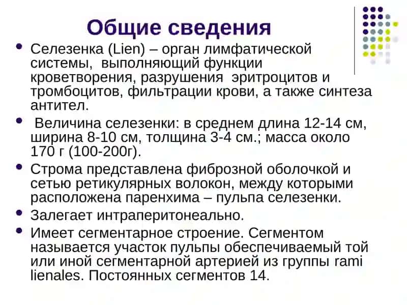 ФУНКЦИЯ СЕЛЕЗЕНКИ 3