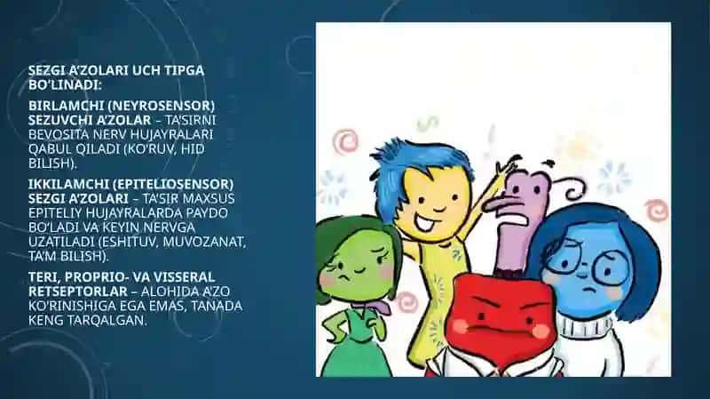 sezgi aʼzolari gistologiyasi 3