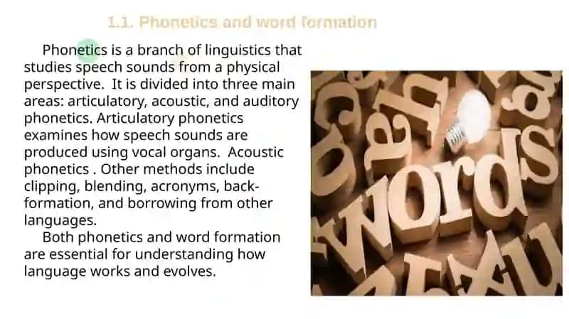 THE RELATIONSHIP BETWEEN PHONETICS AND WORD STRUCTURE 3