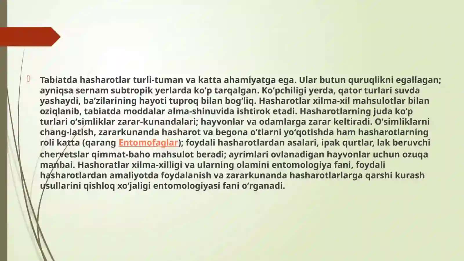 QO'SHDUMLILAR-DIPLURA 3