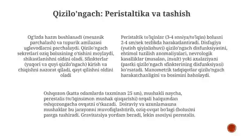 Qizilo'ngach 3