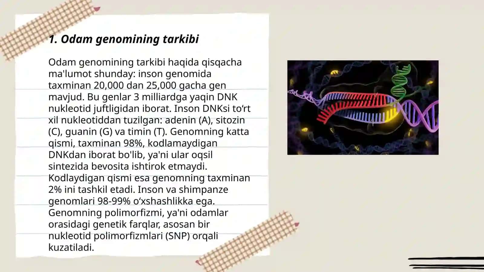 Odam genomi 3