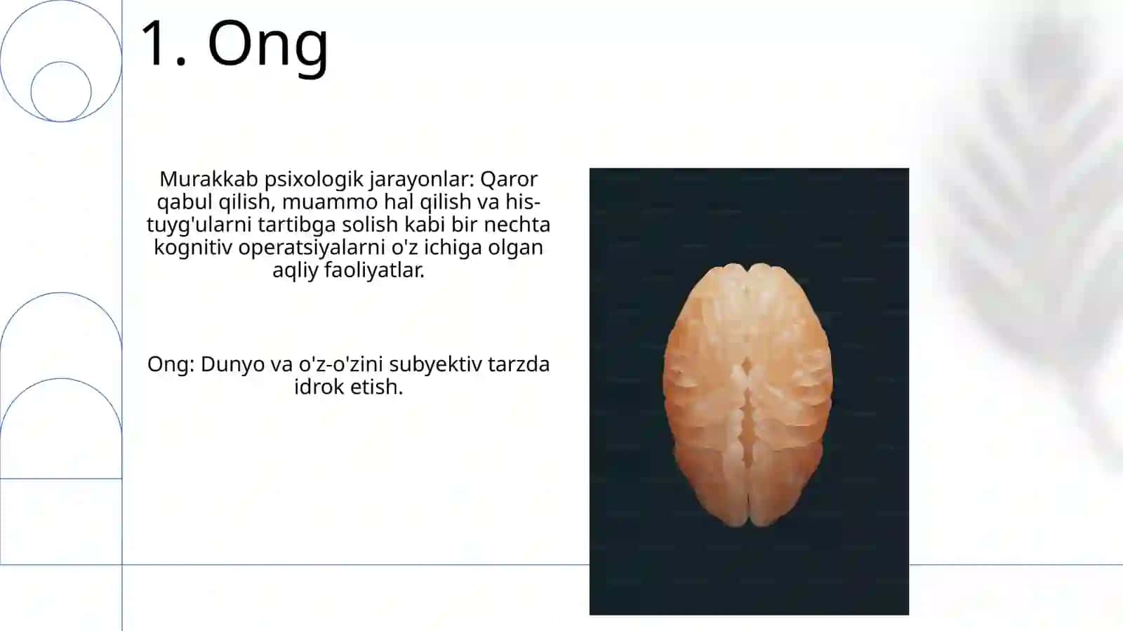 Xotira. Murakkab psixik jarayonlar 3