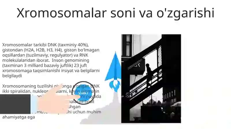Xromosoma uning tarkibi hamda tuzilishi 3