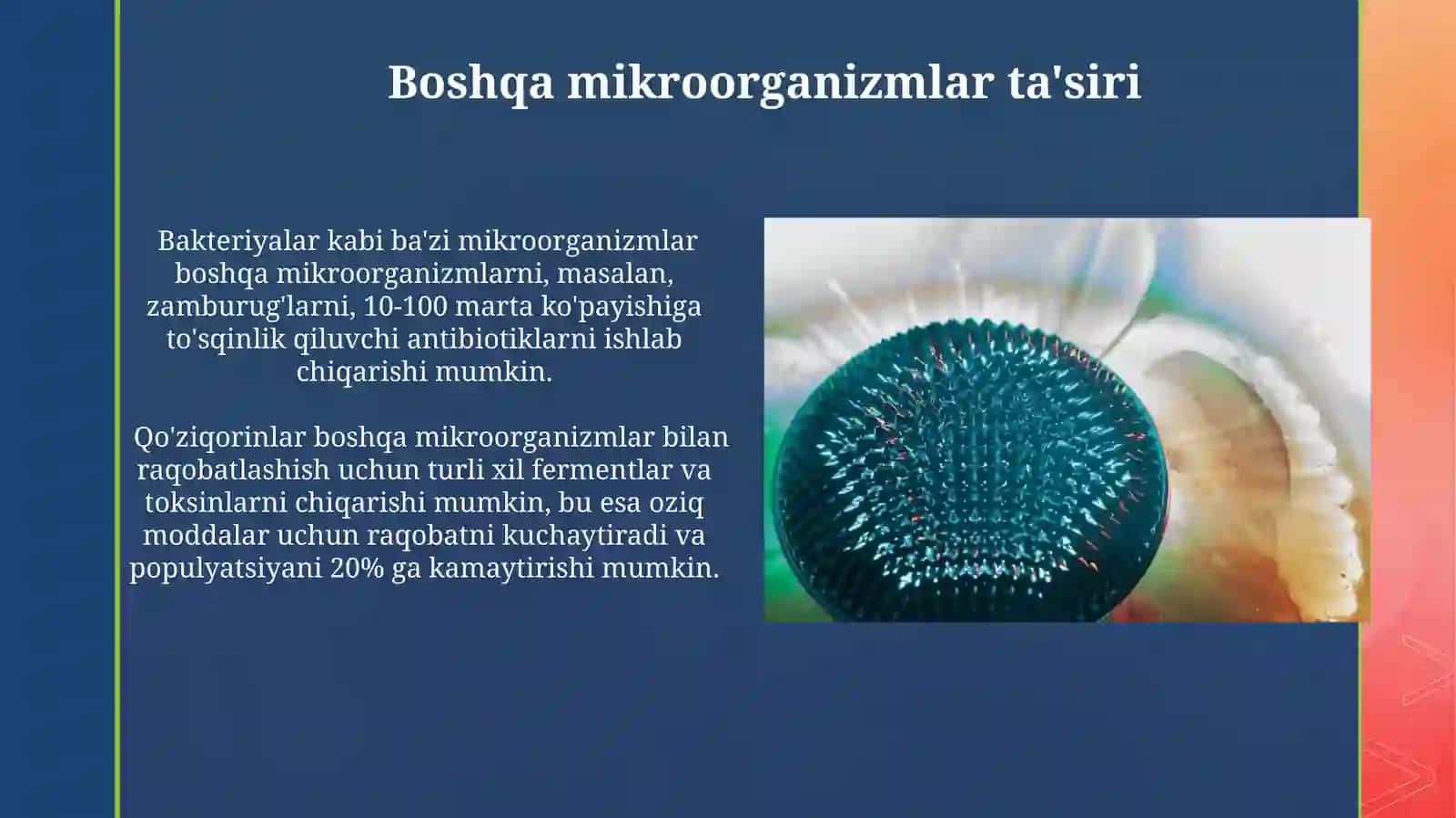 Mikroorganizmlarga tashqi muhit omillarinning tasiri 3
