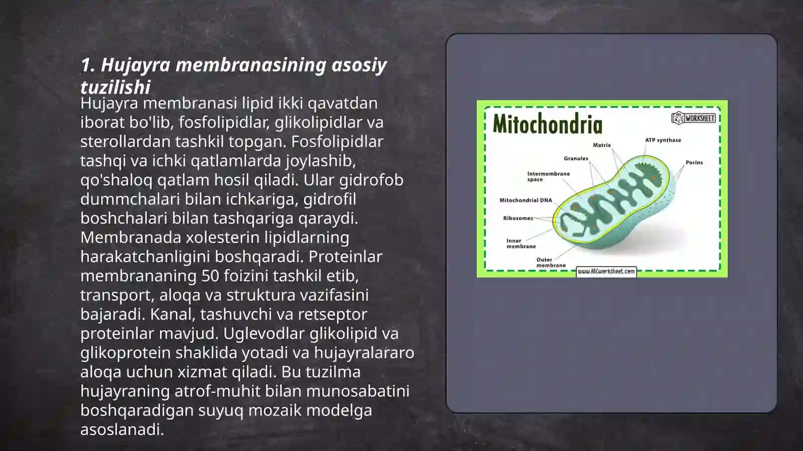 Hujayra membranasining tuzilish asoslari 3