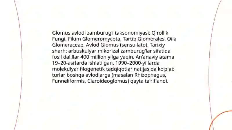 Glomus avlodi zamburugʻi 3