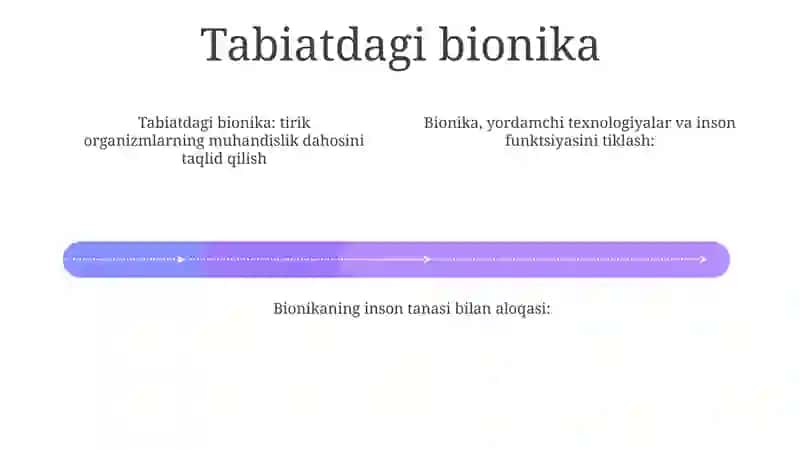 Bionika Asoslari Va Uni Inson Hayotidagi Ro'Li 3