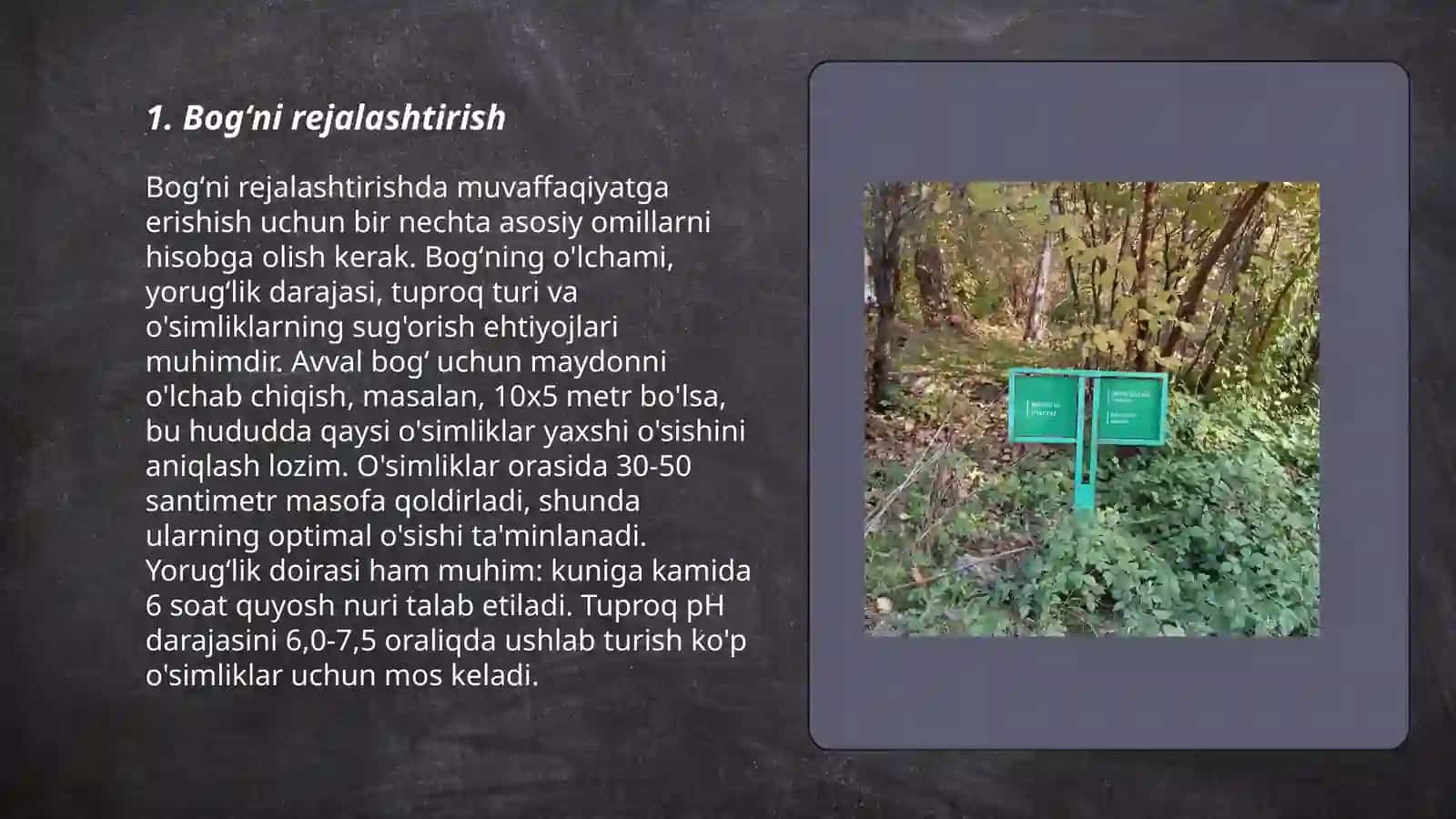 Botanika bogʻi va butalar 3