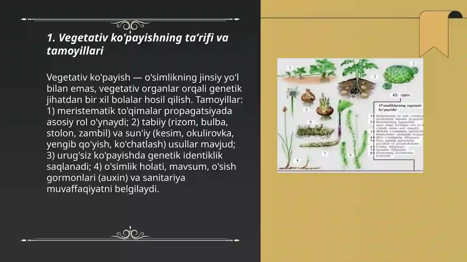 O'simliklarda vegetativ ko'payish 3