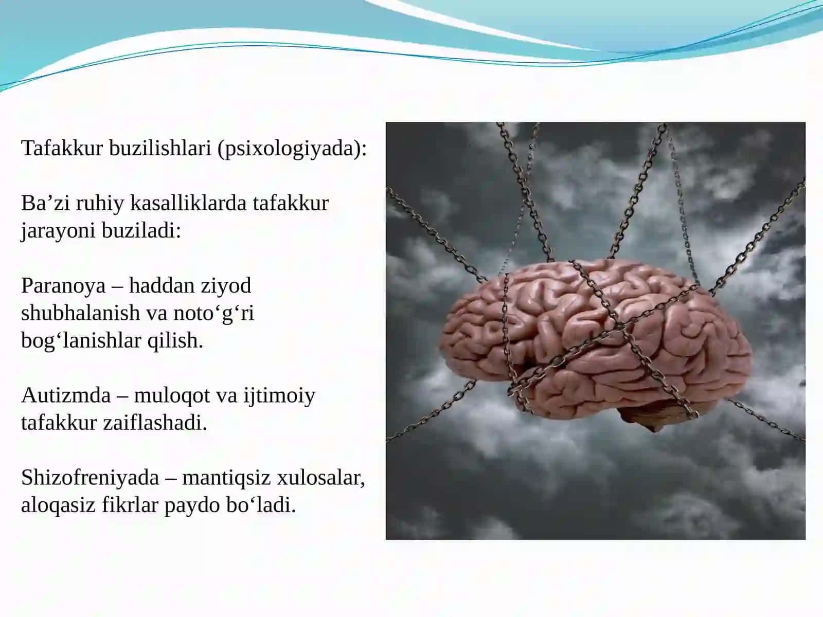 Tafakkur va intellektual qobiliyatlar 3