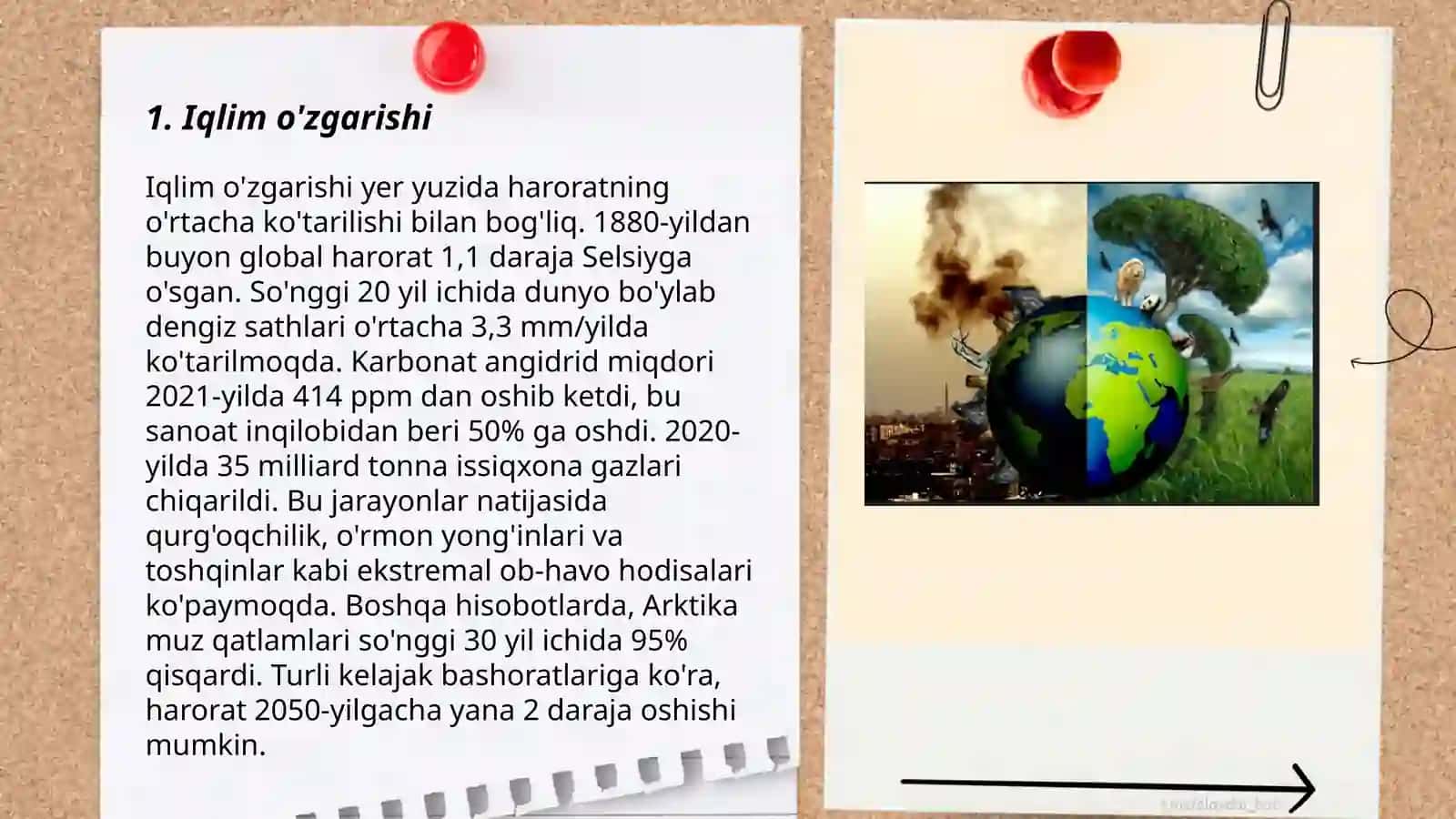 Ekologik muomolar guruhlari 3