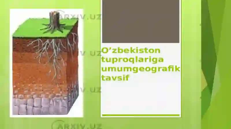 tuproq umumgeografik tavsifi 3