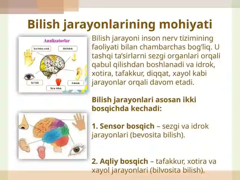 Bilish jarayonlari haqida tushuncha.  Sezgi va Idrok 3