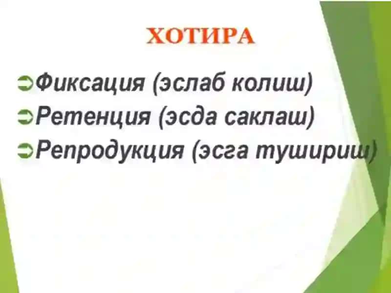 Xotira va Diqqat Buzilishlari 3