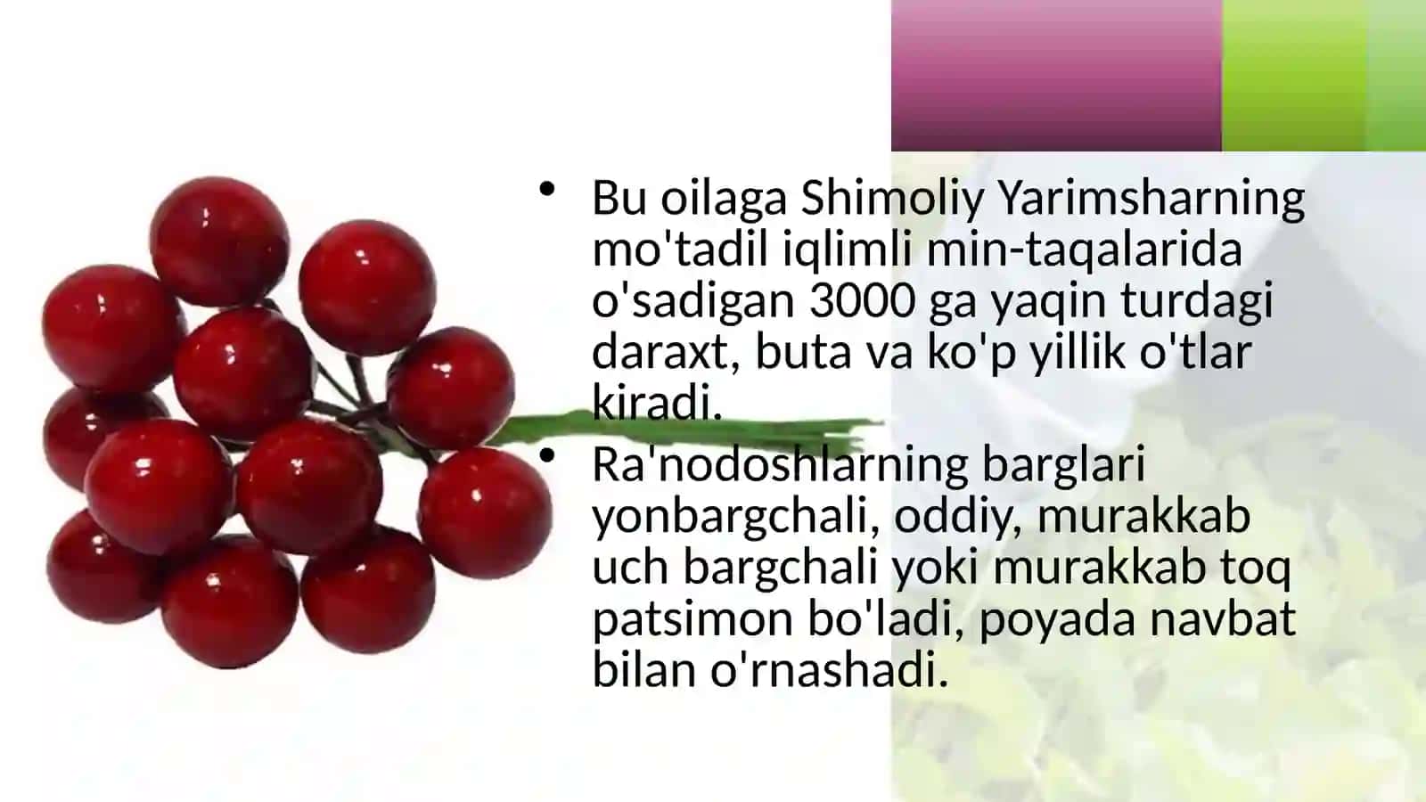 6-sinf Botanika Ra'nodoshlar oilasi 3