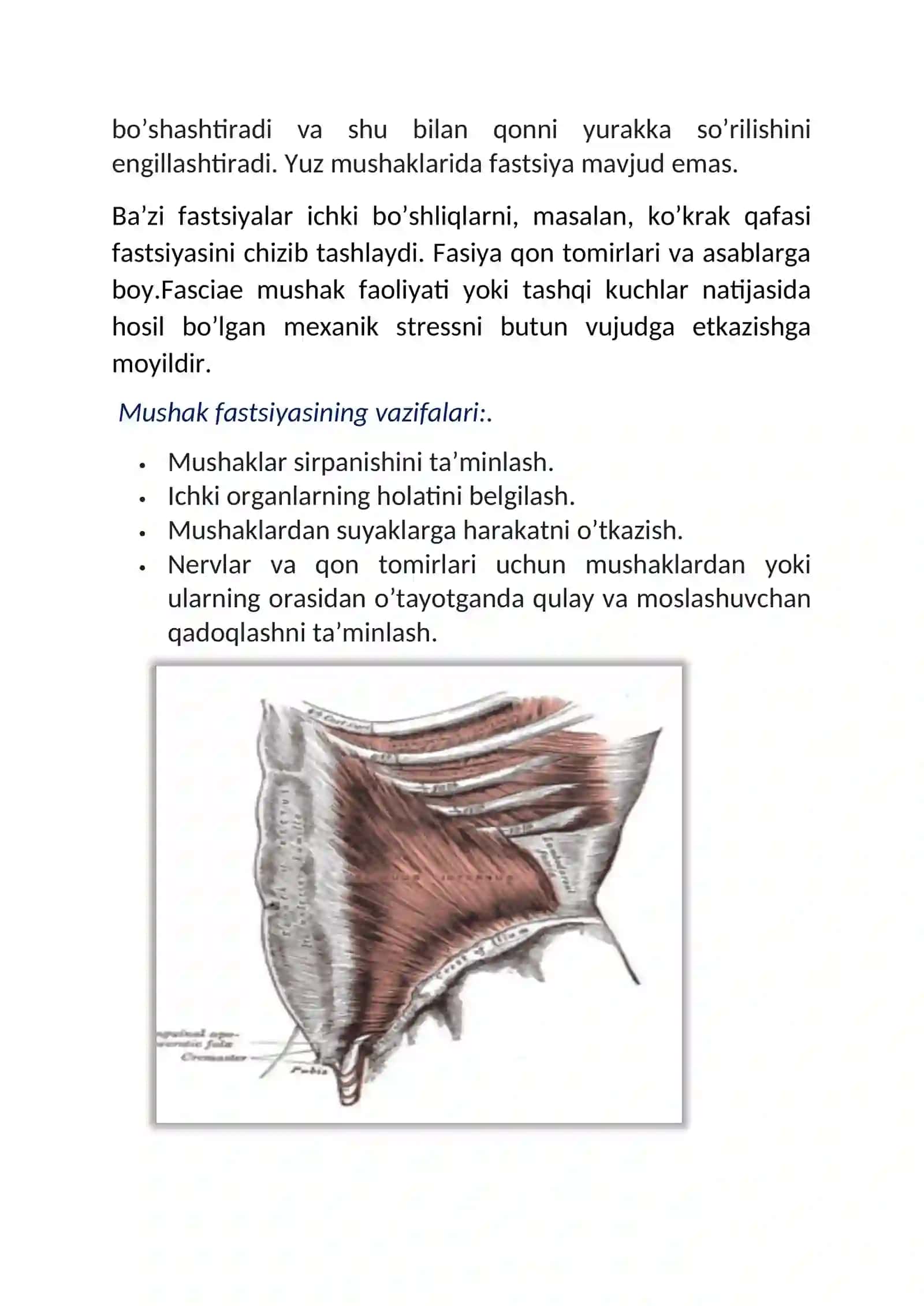 Burun bo’shlig’i 3