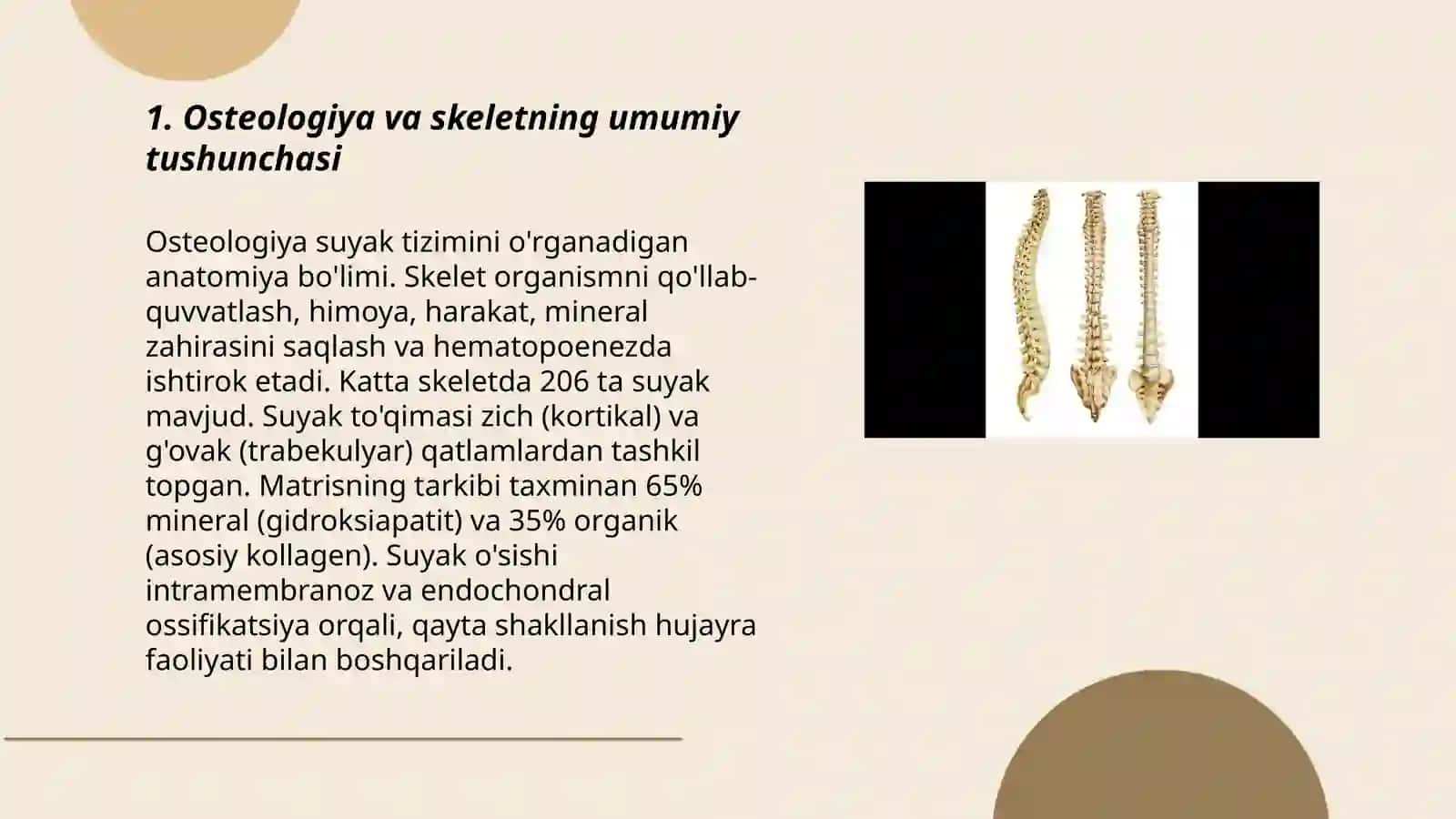 Umumiy Psteologiya 3