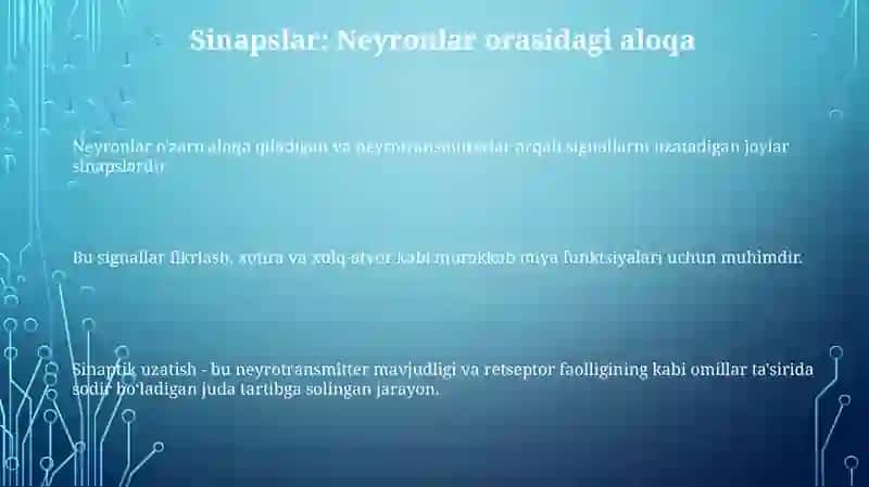 Oliy nerv faoliyati 3