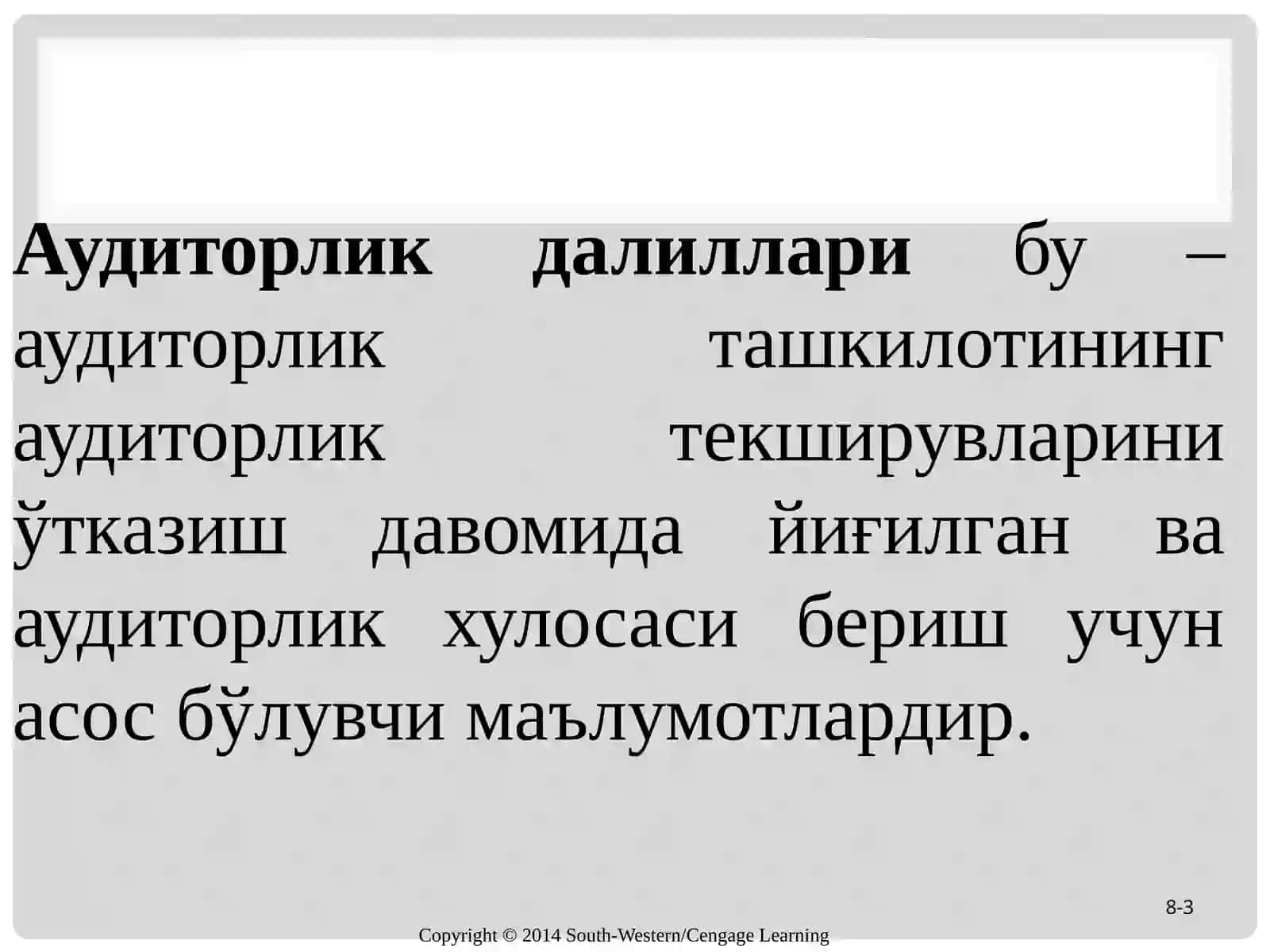 аудиторлик далилар 3