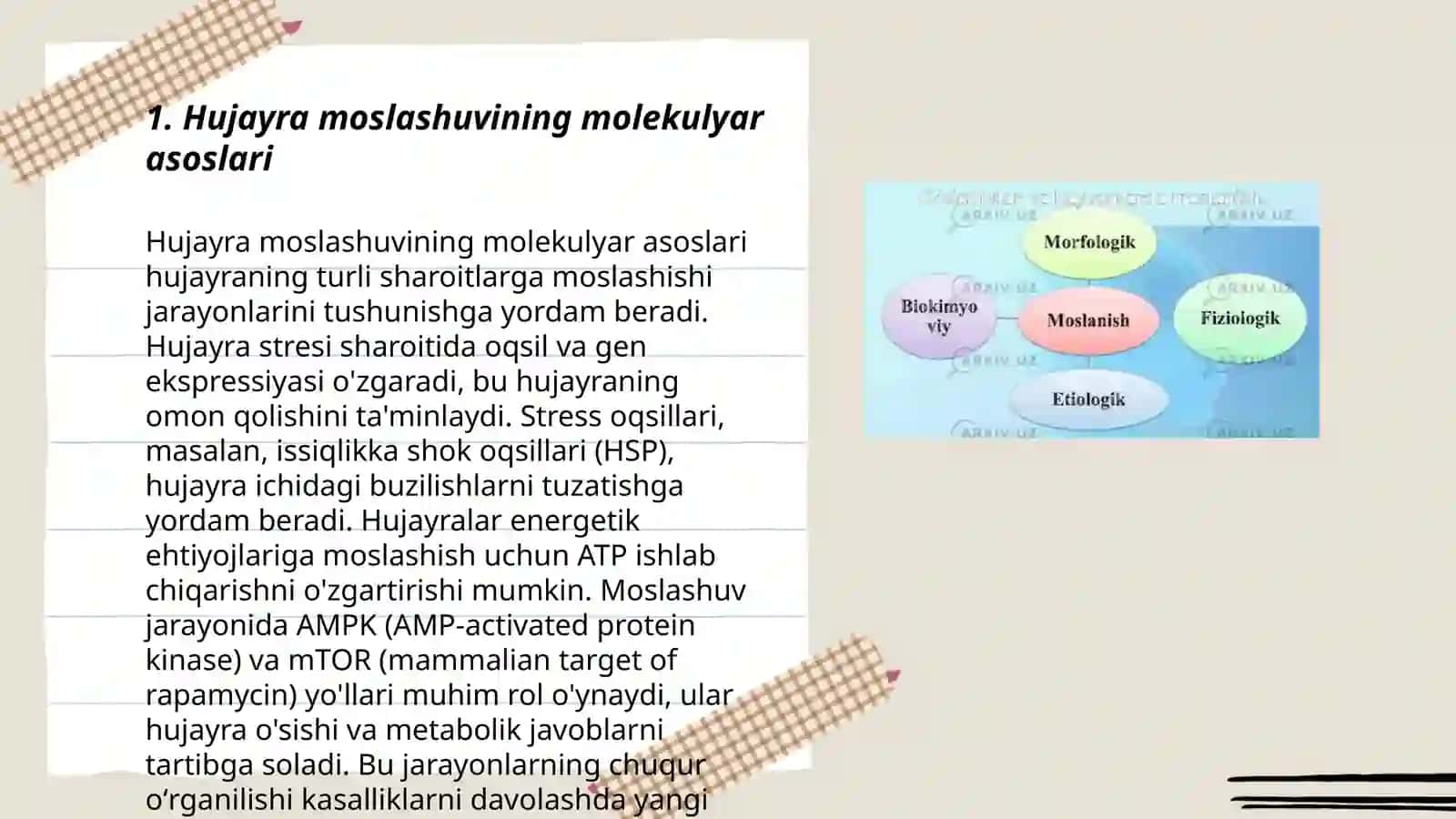 Hujayra va to‘qimalarning moslashuv reaksiyalari 3