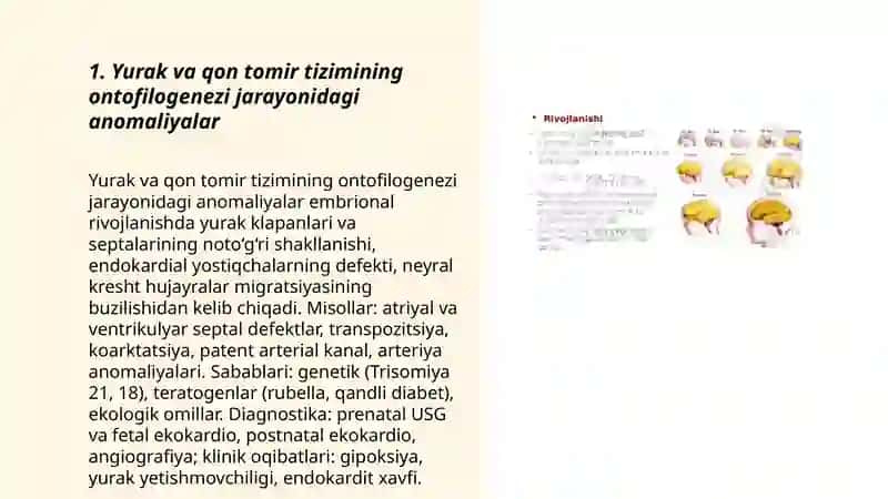 Aʼzolar sistemasi ontofilogenezi jarayonidagi anomaliyalar 3