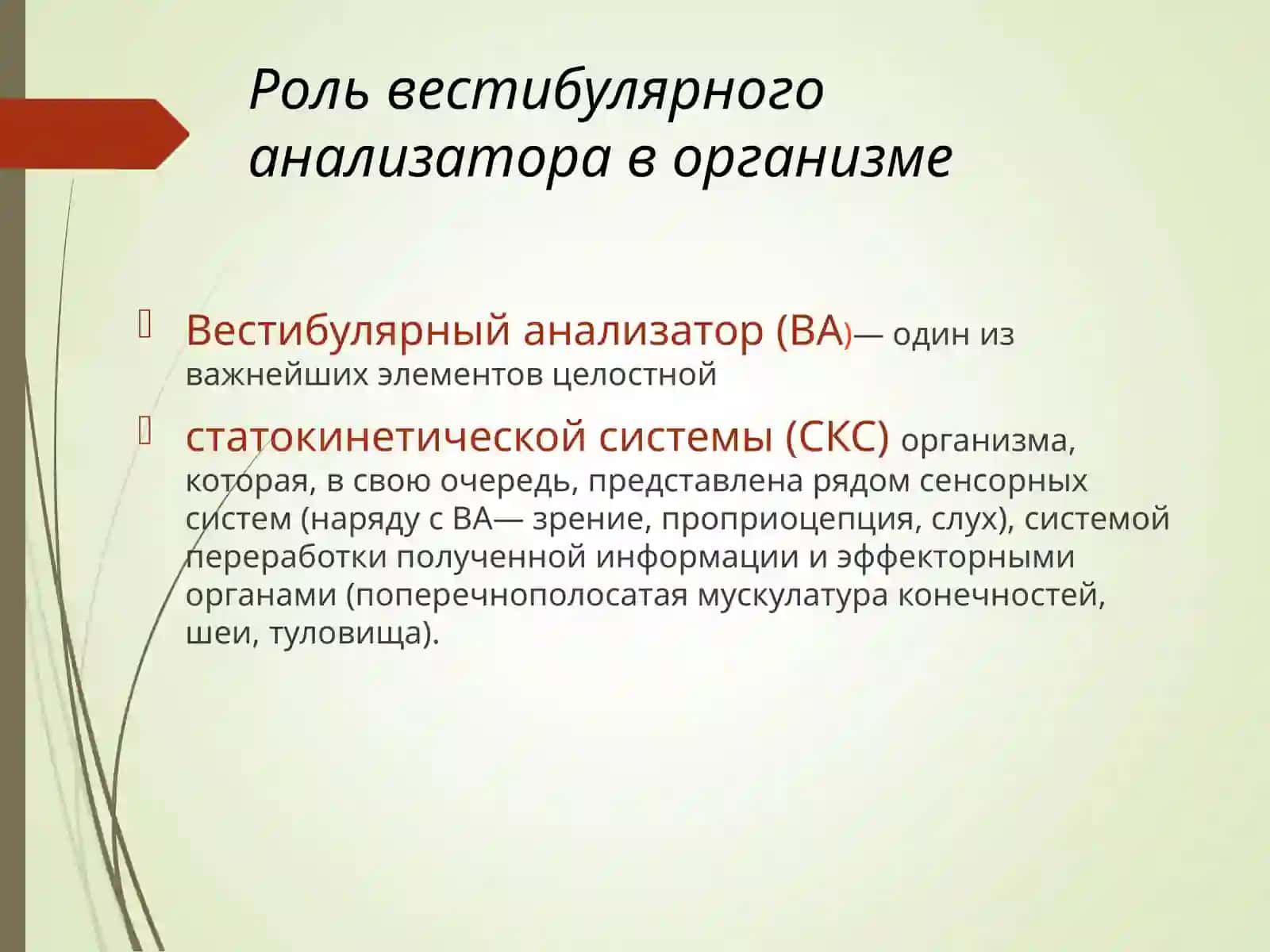 Вестибулярный анализатор 3