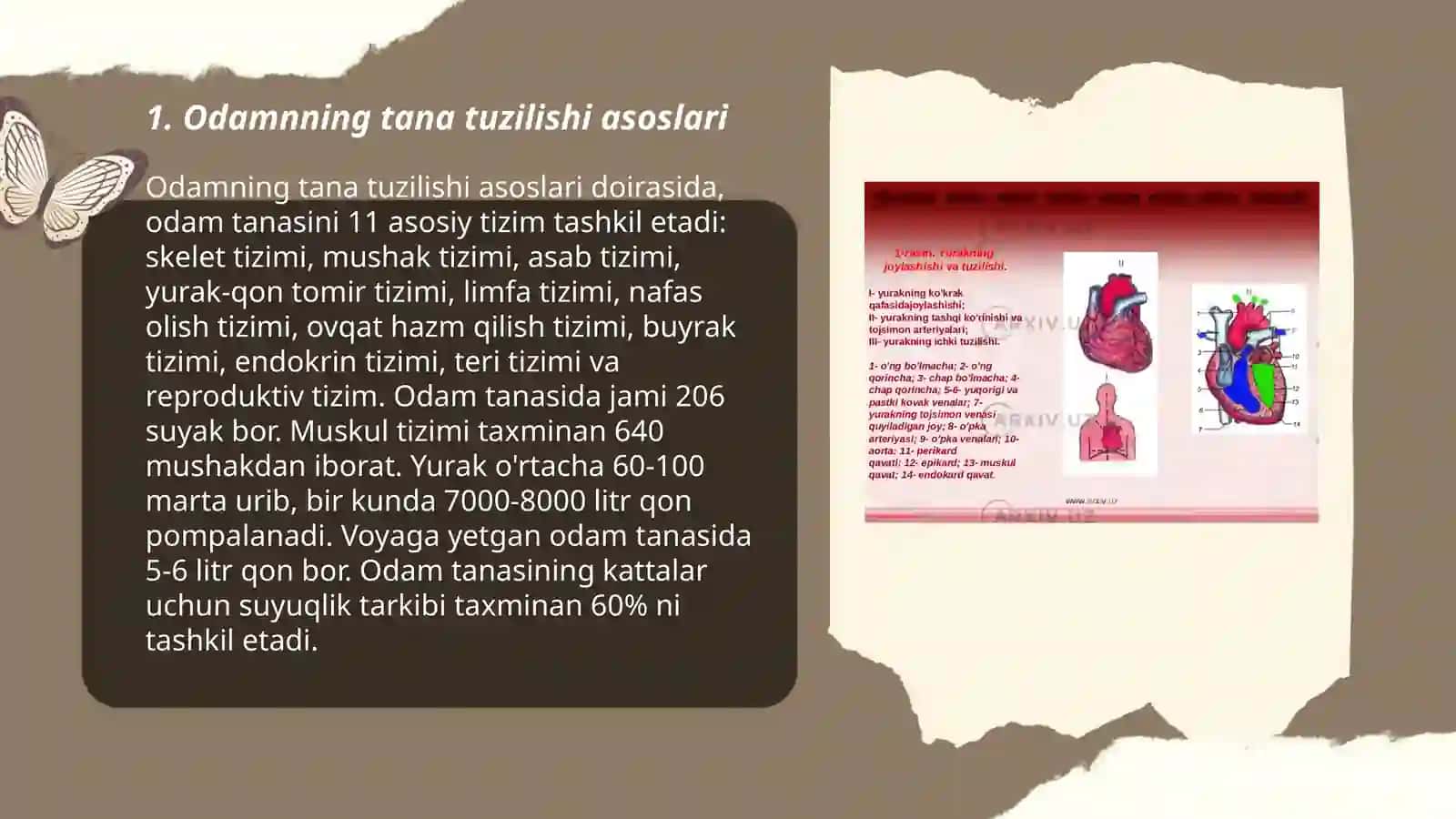 Odamning tana tuzilishi tiplari 3