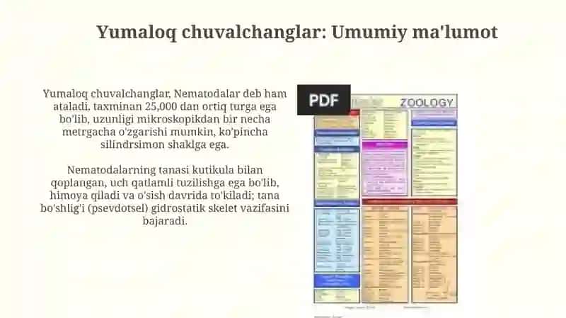 Yumaloq chuvalchanglar 3