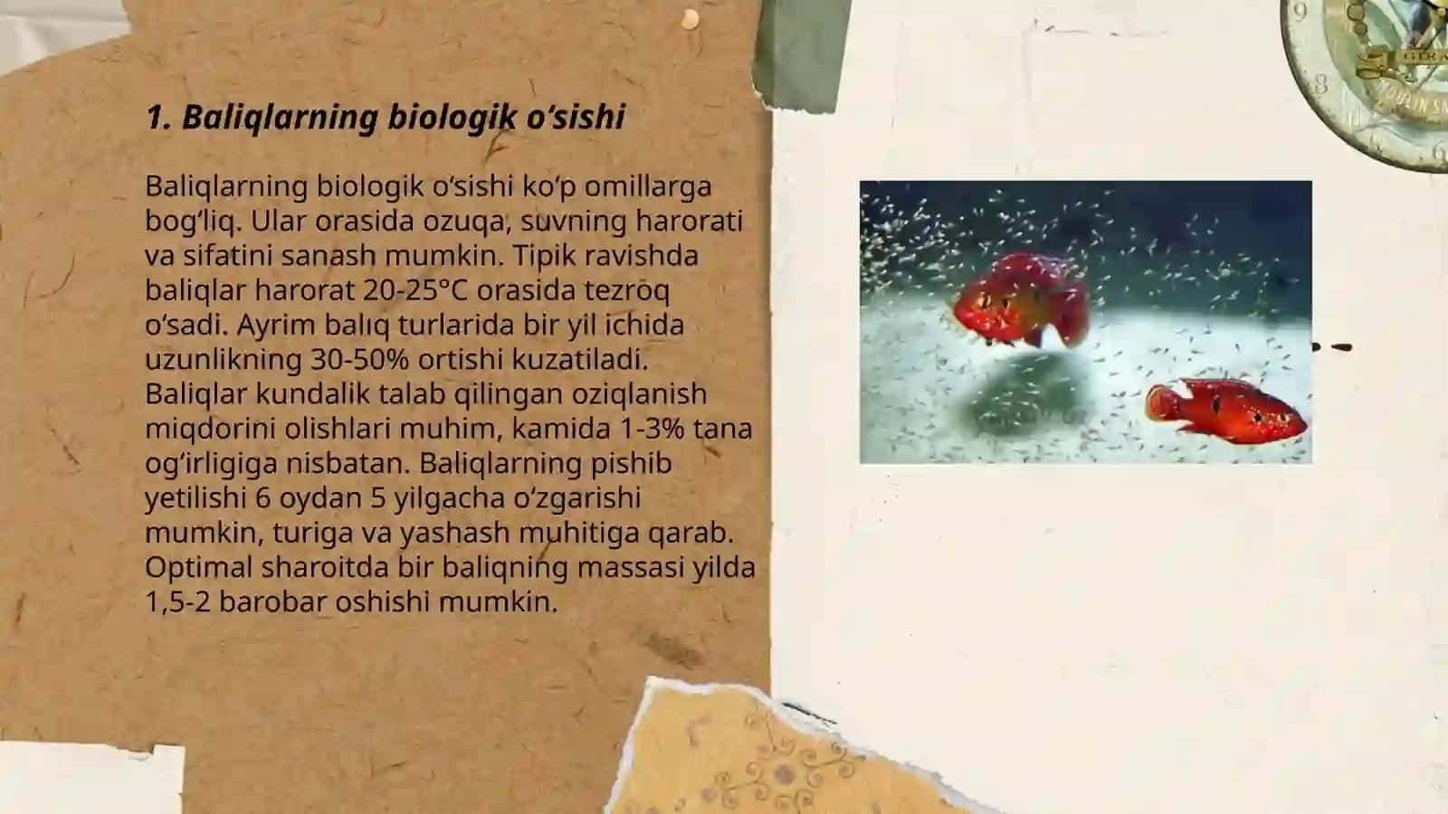 Baliqlarning ko‘payishi 3