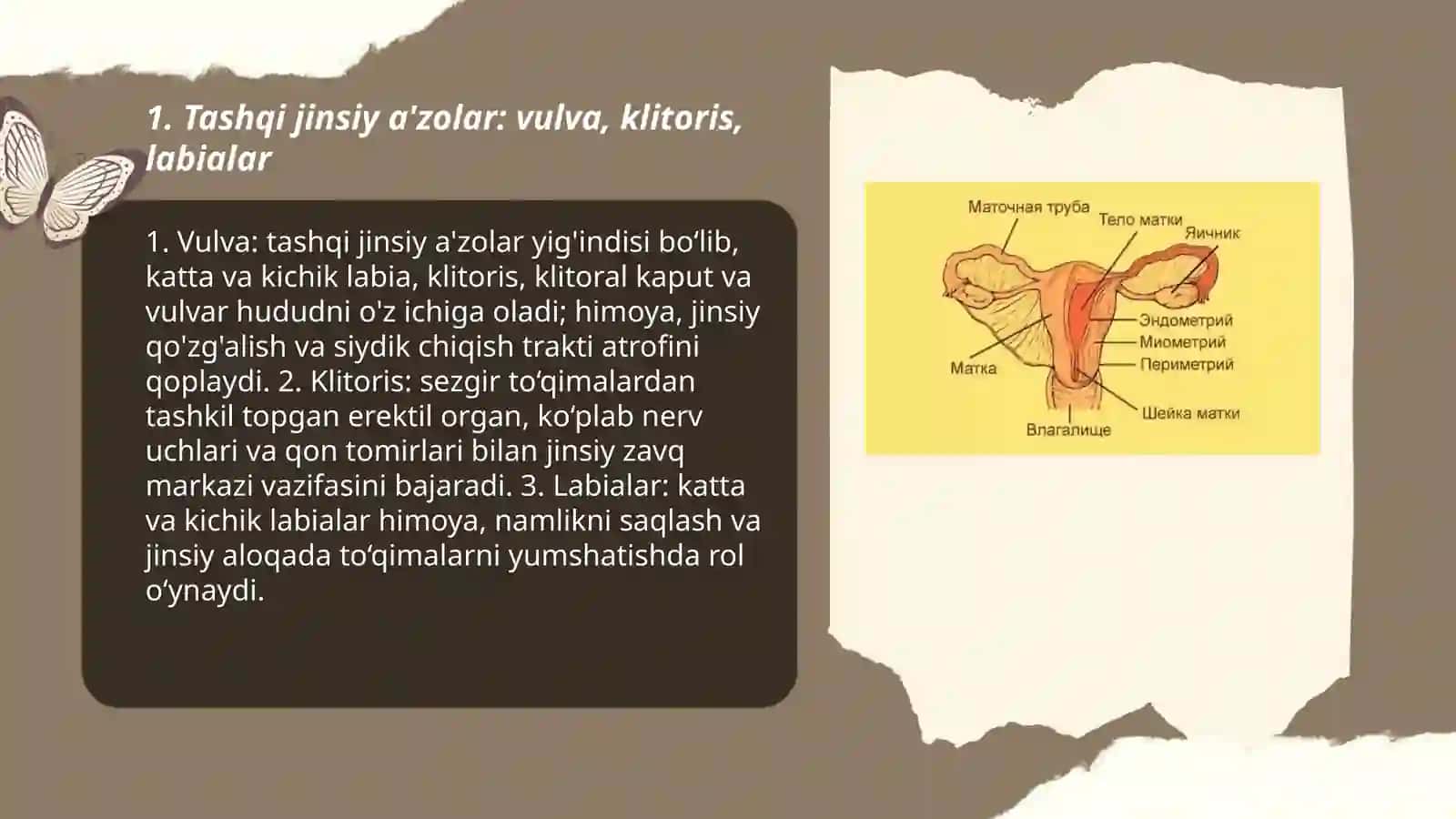 Ayollar jinsiy sistemasi 3