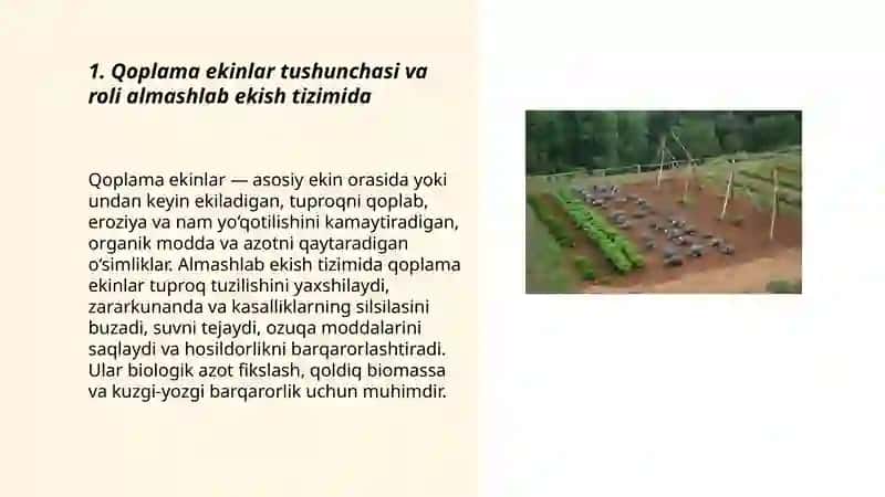 Almashlab ekish tizimidagi qoplama ekinlar 3