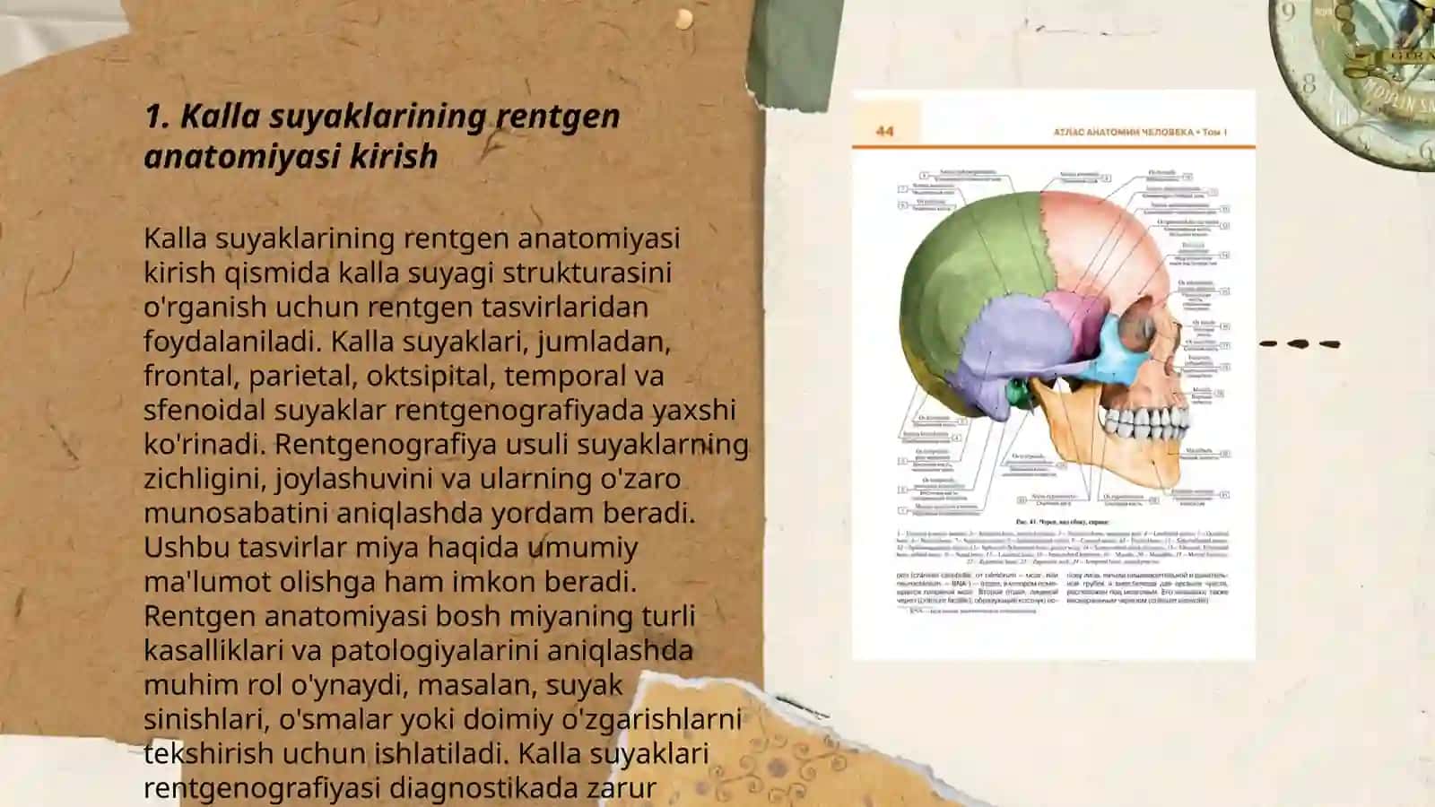 Kalla suyaklarining rentgenanatomiyasi 3