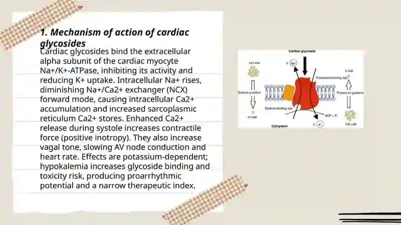 Cardiac glycosides 3