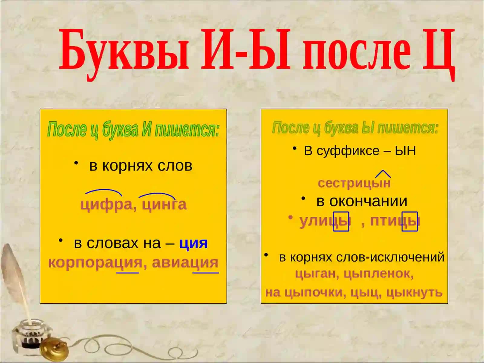 ОРФОГРАММА БУКВ Ы И ПОСЛЕ Ц 3