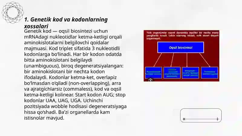 Oqsil biosintezi 3