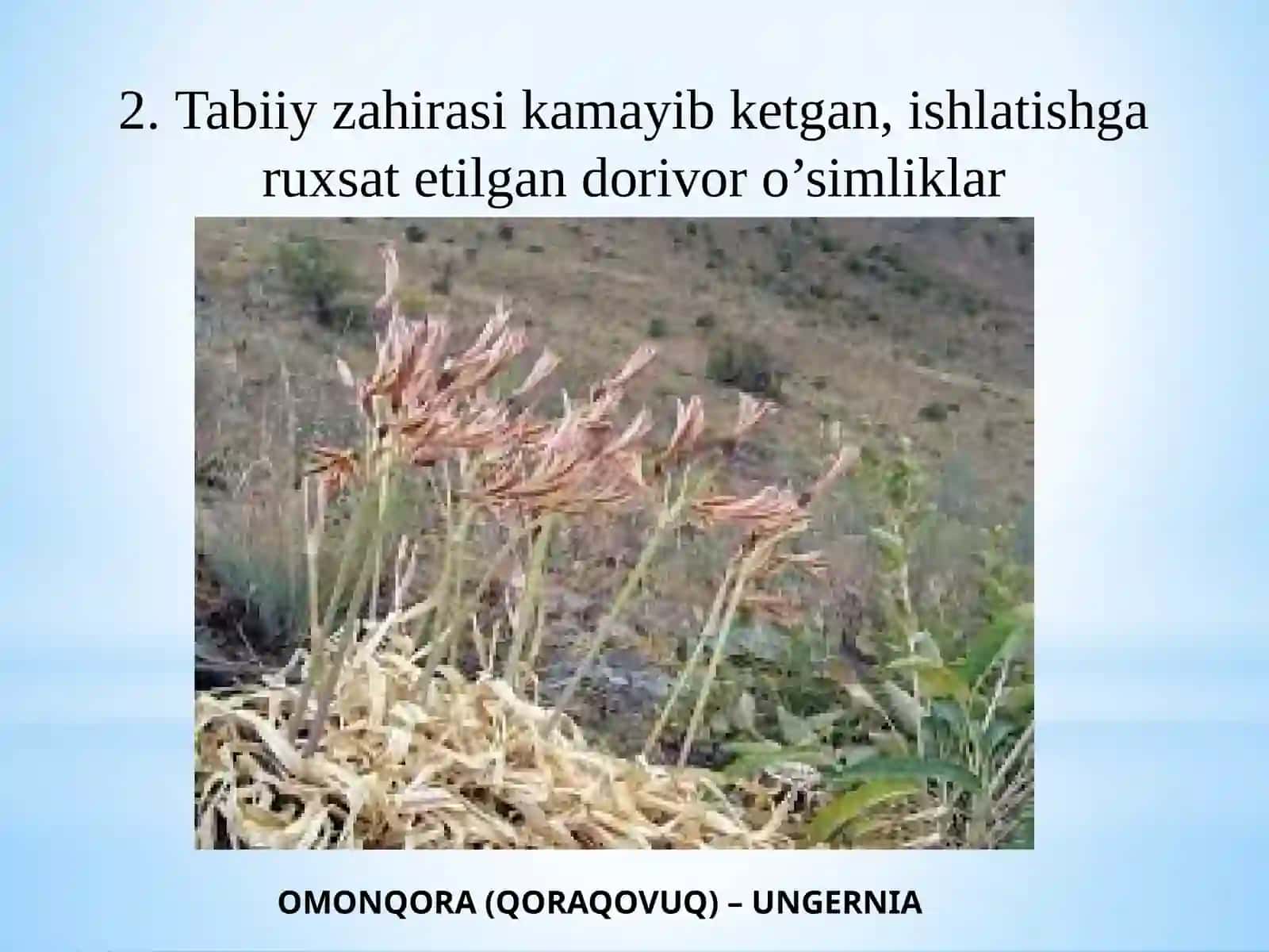 Introduksiya usullari 3