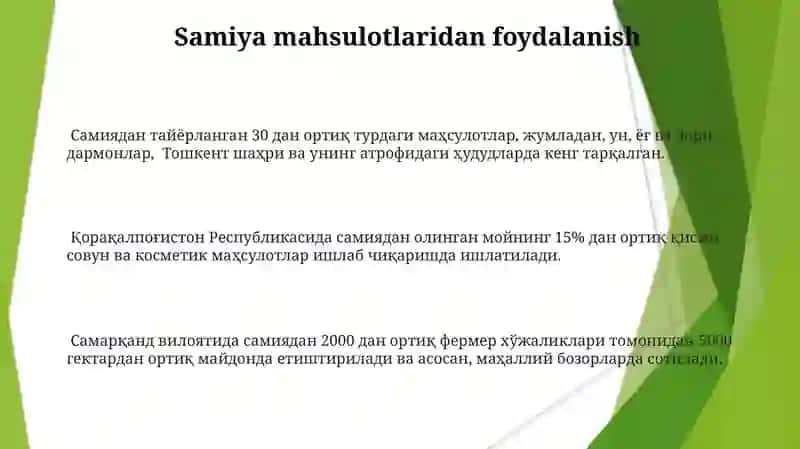 Samiya biologiyasi va yetishtirish 3